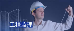 牛脂胺聚氧乙烯醚(3EO-30EO) Tallowalkyl amine Ethoxylate Ether (3EO-30EO) CAS61791-26-2